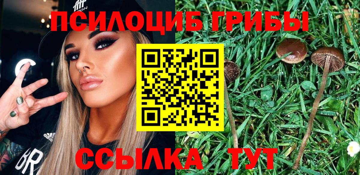 Новоалександровск  Галлюциногенные грибы GOLDEN TEACHER  Вход с VPN 