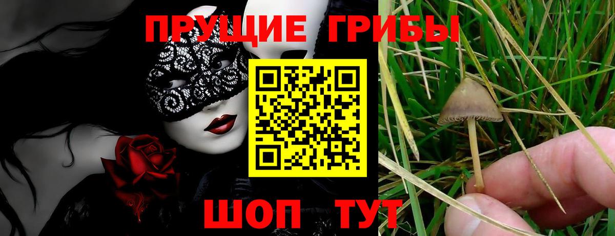 Галлюциногенные грибы мухоморы Новоалександровск
