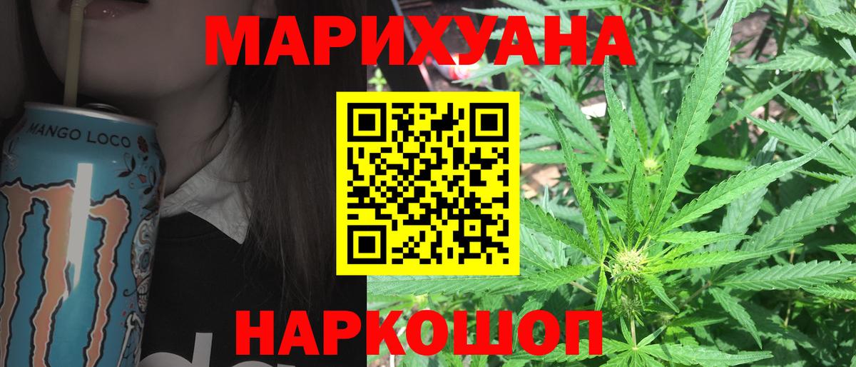 Бошки Шишки планчик Новоалександровск